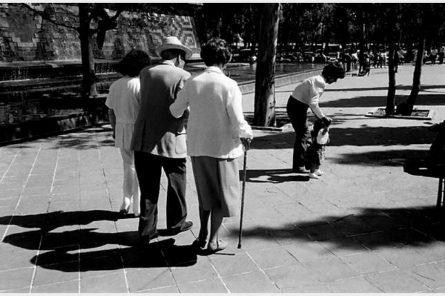 Flores entre las losas