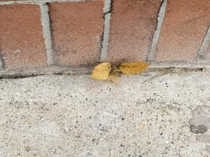 Después de todo...