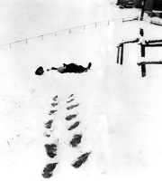 Querido y diminuto Robert Walser