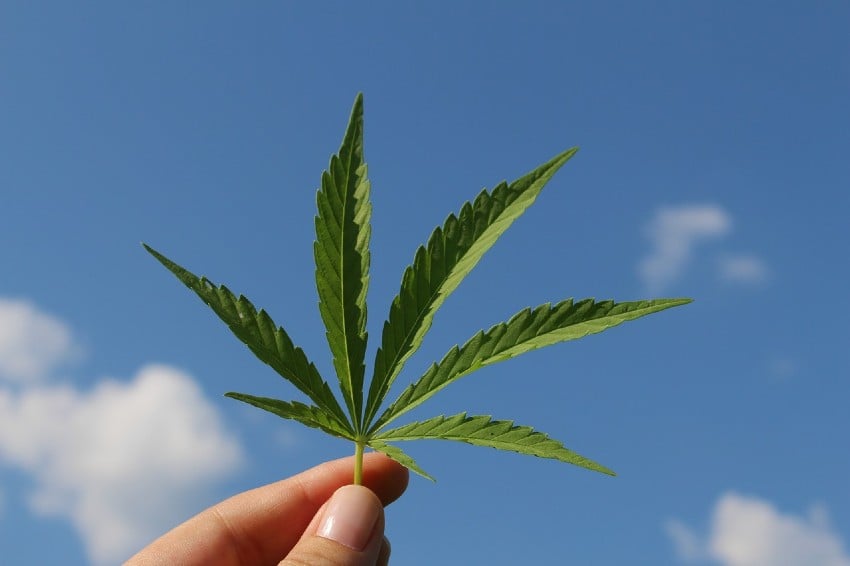 ¿Qué ha pasado con la legalización de la marihuana para fines recreativos en Colombia?